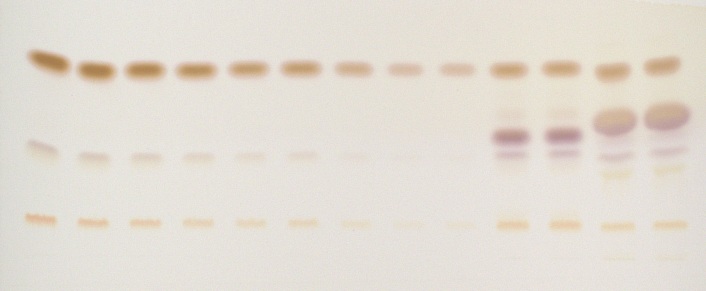 Derivatized Image