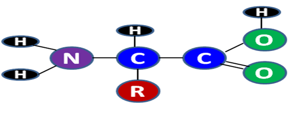 Theory Image
