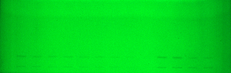 Theory Image