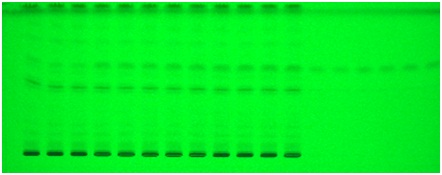 Image at 254nm