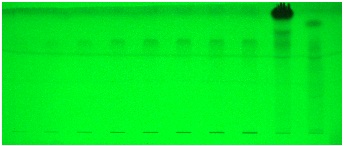 Image at 254 nm