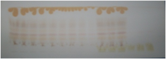 obs_exp6_3