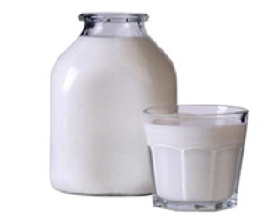 Image_02